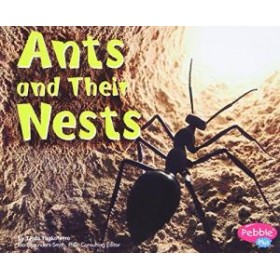Ants and Their Nests (Animal Homes Hardback) by Linda Tagliaferro